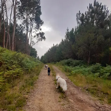 Vakantieboerderij Quinta Deportugal