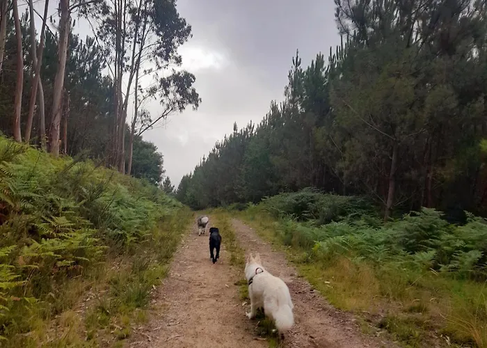 ファームステイ Quinta Deportugal